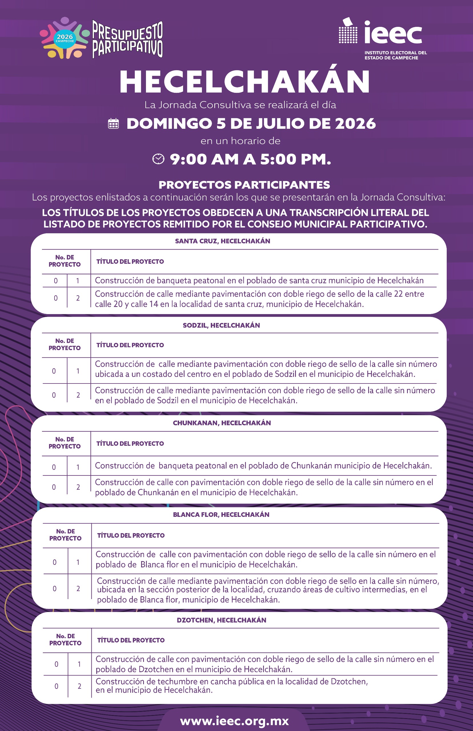 Infografía 6